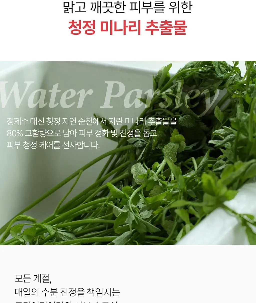 [올영1위] 클리어디어 미나리 진정 젤 세럼 30ml 상세페이지 13